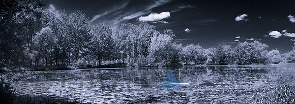 Summer panorama