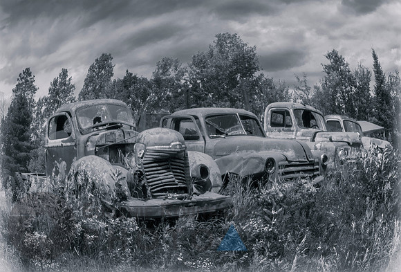 Wrecked old cars