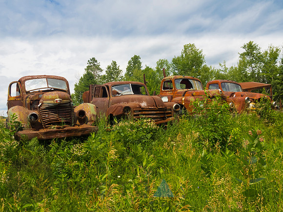 Wrecked old cars