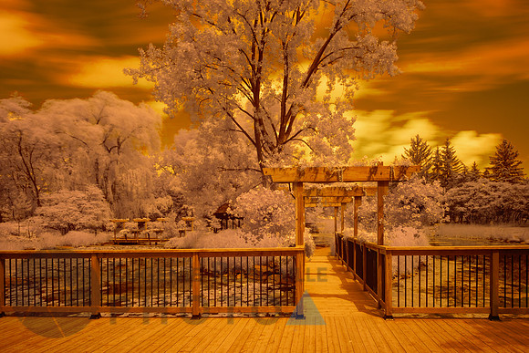 Beautiful Infrared Landscape