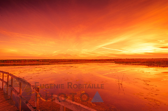 Orange Landscape