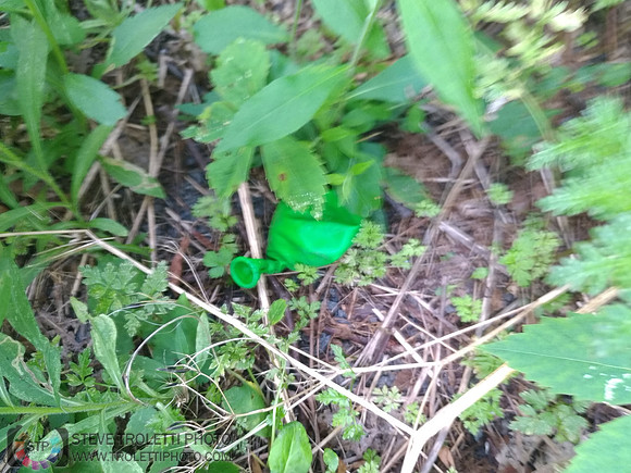 Déchets, peinture, poudre colorer, ballons, et plus dans le parc de Brouage, Boucherville suivent une activité de camp de jour le 2018-08-07
