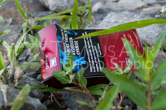 Déchets - Parc Nature Île-de-la-Visitation Nature Park - Litter