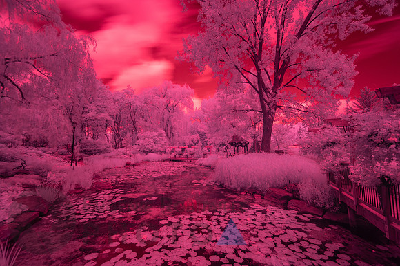 Beautiful Infrared Landscape