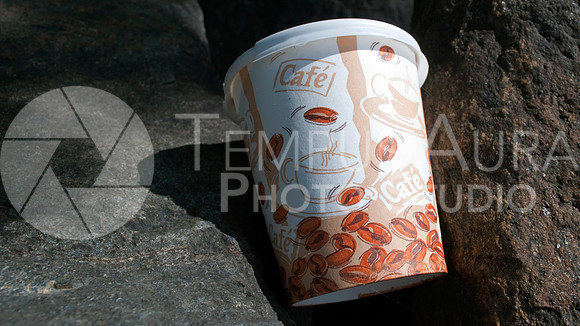 Plastic Lid Paper Coffee Cup - Tasse de café - Parc Nature Île-de-la-Visitation Nature Park - Litter - Déchets