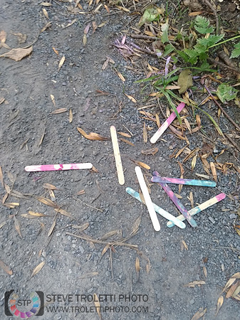 Déchets, peinture, poudre colorer, ballons, et plus dans le parc de Brouage, Boucherville suivent une activité de camp de jour le 2018-08-07