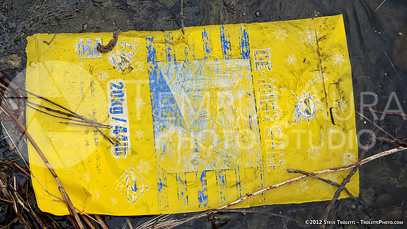 Trash Littering the banks of Montreal's Île-de-la-Visitation Nature Park