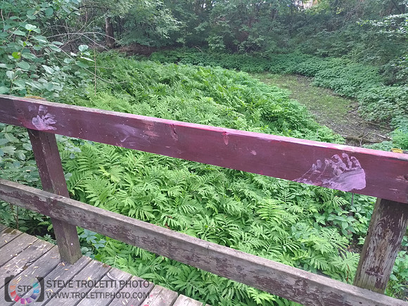 Déchets, peinture, poudre colorer, ballons, et plus dans le parc de Brouage, Boucherville suivent une activité de camp de jour le 2018-08-07