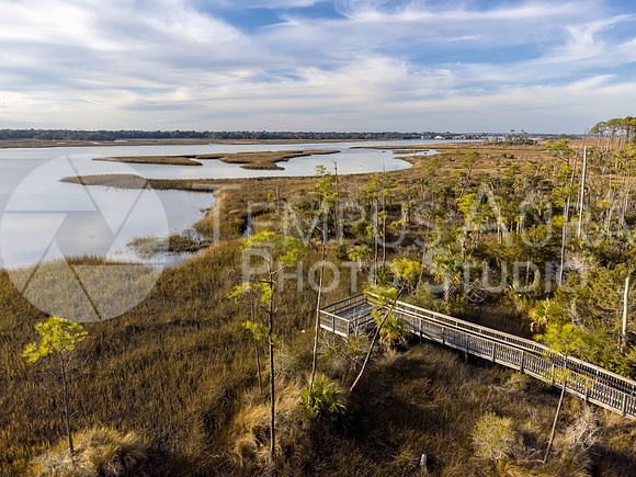 Dutton Island Preserve West Deck 3