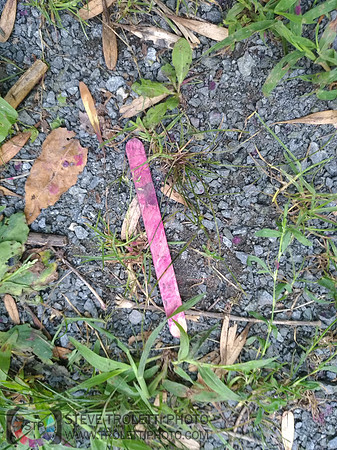 Déchets, peinture, poudre colorer, ballons, et plus dans le parc de Brouage, Boucherville suivent une activité de camp de jour le 2018-08-07