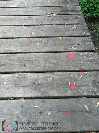 Déchets, peinture, poudre colorer, ballons, et plus dans le parc de Brouage, Boucherville suivent une activité de camp de jour le 2018-08-07