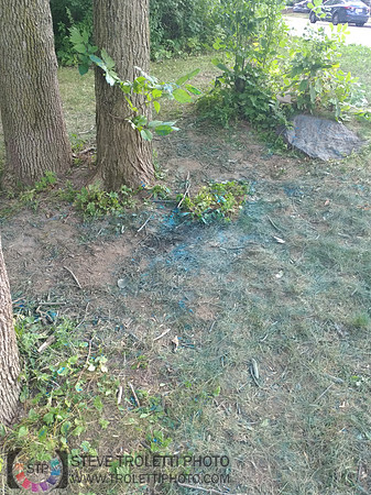 Déchets, peinture, poudre colorer, ballons, et plus dans le parc de Brouage, Boucherville suivent une activité de camp de jour le 2018-08-07